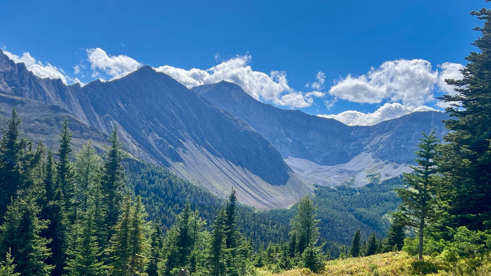 blog-stand-firm-to-mountains-feat