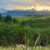 camporee-blog-feat-img-sunset