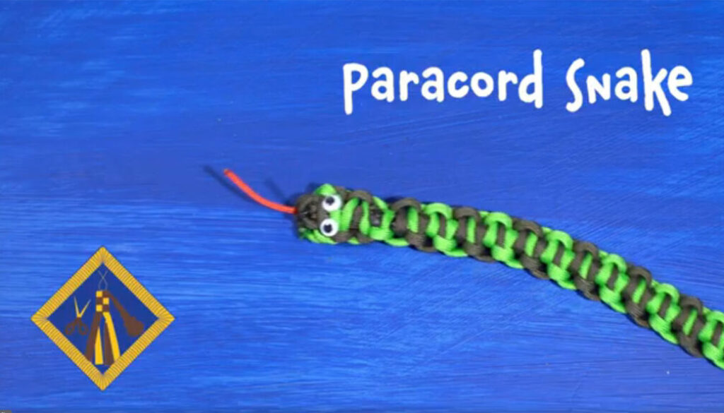 paracord-snake-feat